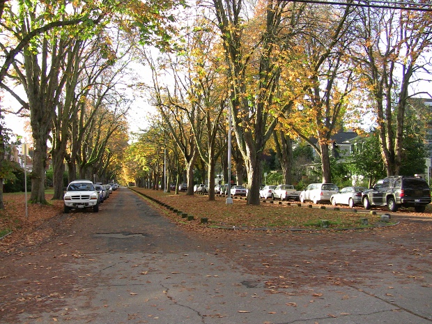 Nolan Rundquist, City Arborist University Park has an extensive tree canopy which is changing for a variety of reasons. These include tree age and size, weather, and proximity to homes. […]